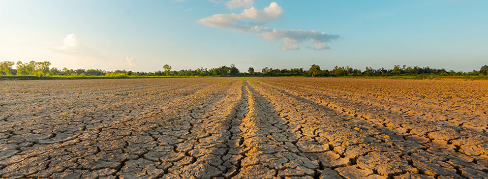 Klimawandel stoppen: Deutschland auf dem Weg zur Klimaneutralität bis 2045. Klimafolgenanpassung.